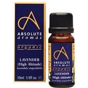Absolute Aromas Organic Lavender, High-Altitude, 10ml