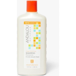 Andalou Argan Oil & Shea Moisture Rich Shampoo, 340ml