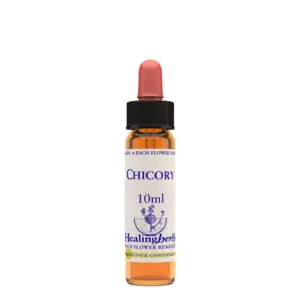Healing Herbs Ltd Chicory - 10ml