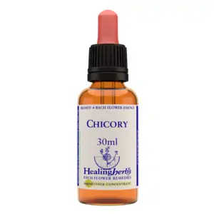 Healing Herbs Ltd Chicory - 30ml