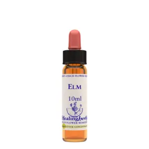 Healing Herbs Ltd Elm - 10ml