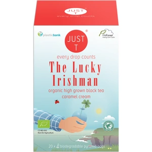 Just T The Lucky Irishman Caramel Cream Tea - 20 Bags x 6