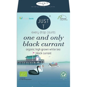 Just T Blackcurrant Organic - 20bags (Case of 6)