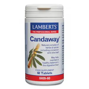 Lamberts Candaway 60's
