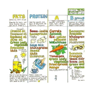 Liz Cook Charts Liz Cook Original Nutrition Wallchart