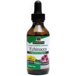 Nature's Answer Echinacea Root, 60ml