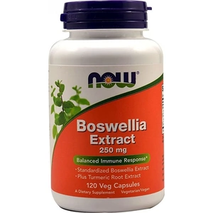 NOW foods, Boswellia Extract Plus Turmeric Root Extract, 250mg - 120 vcaps