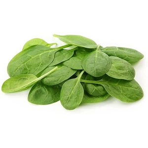 Planet Organic Baby Leaf Spinach 100g