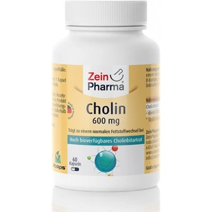 Zein Pharma Choline, 600mg - 60 caps (Case of 6)