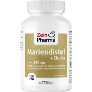 Zein Pharma Milk Thistle + Choline - Liver Complex 100 Capsules